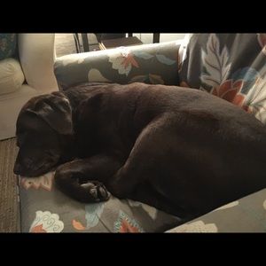 Meet your Posher, Joanne